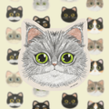Maine_Coon_Cat_Sticker__Waterproof__Laminated