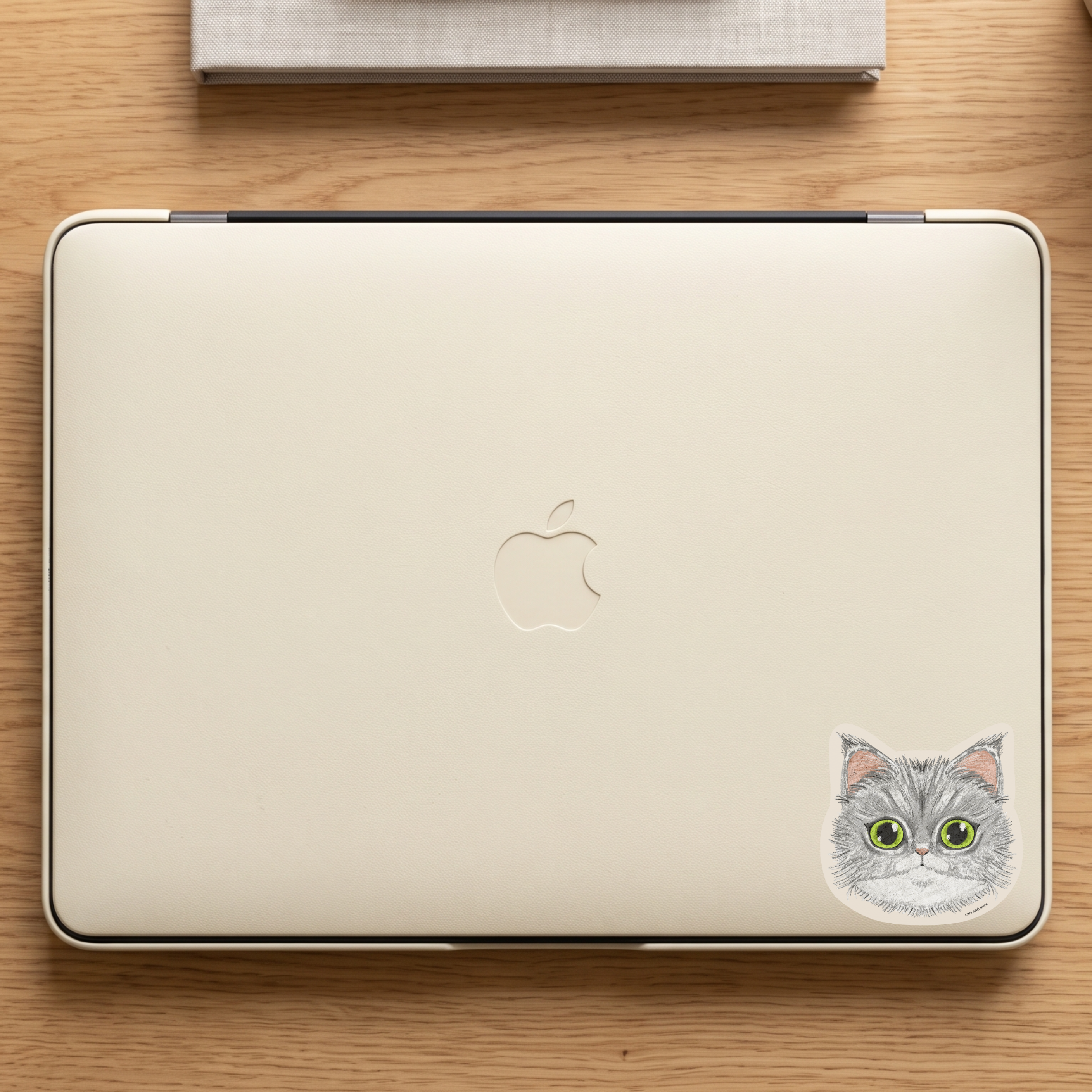 fluffy cat maine coon cat  vinyl matte sticker waterproof original artwork digital pastel illustration on apple laptop