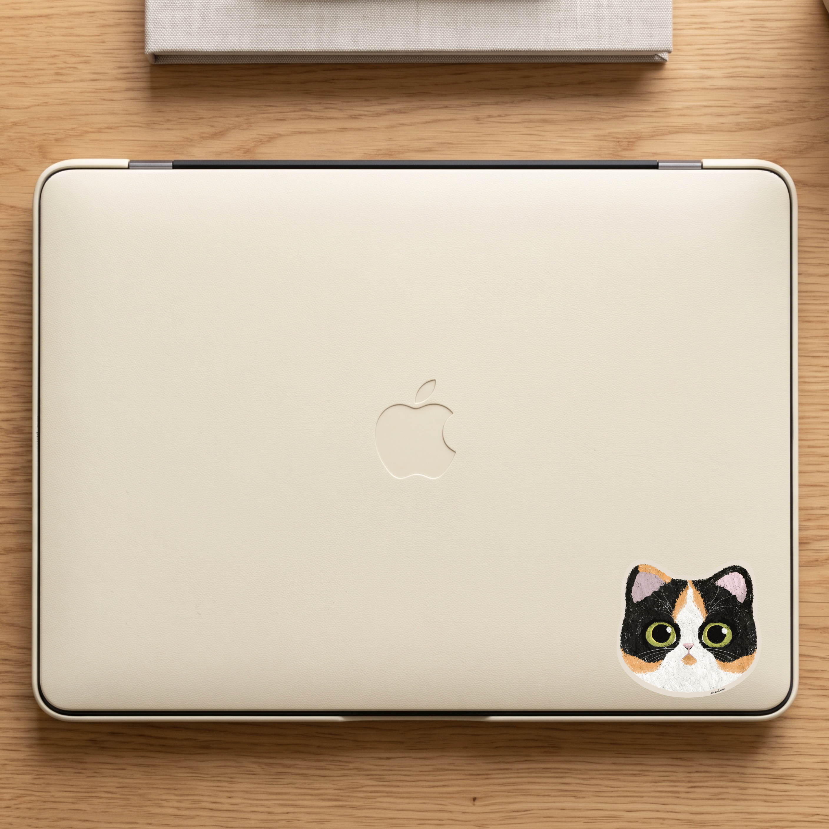 tricolor cat calico cat  vinyl matte sticker waterproof original artwork digital pastel illustration on apple laptop