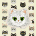 Persian_Cat_Cat_Sticker__Waterproof__Laminated