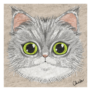 Maine Coon - Geppetto - Art Print