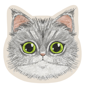 Maine Coon Cat Sticker | Waterproof & Laminated