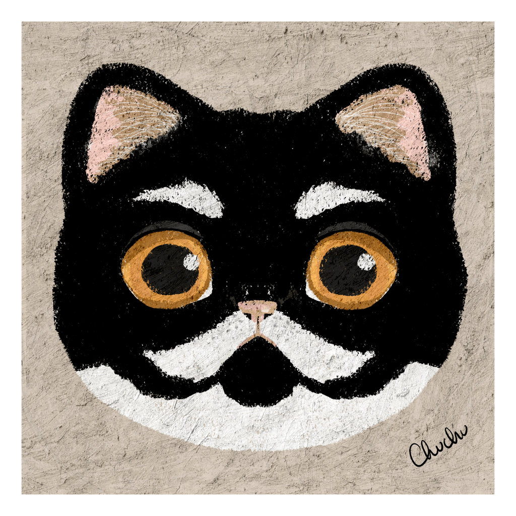white eyebrows and moustache tuxedo cat with orange eyes in cute digital illustration with pastel textures original artwork cute and quirky older cat portrait