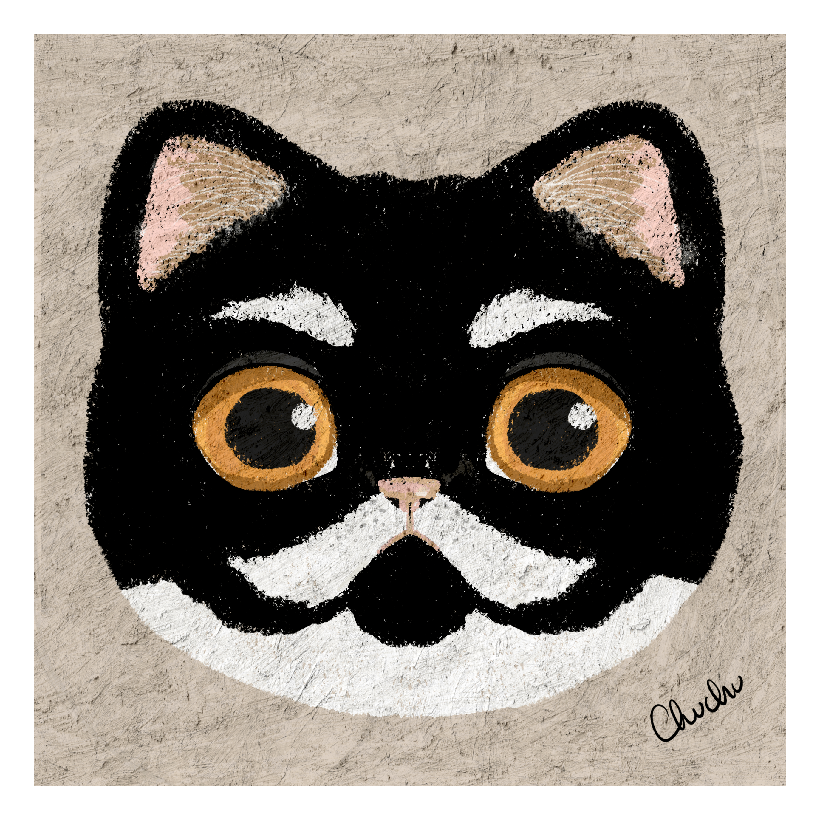 white eyebrows and moustache tuxedo cat with orange eyes in cute digital illustration with pastel textures original artwork cute and quirky older cat portrait