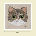 tabby american shorthair  cat art print image size reference